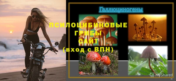 гашик Алзамай