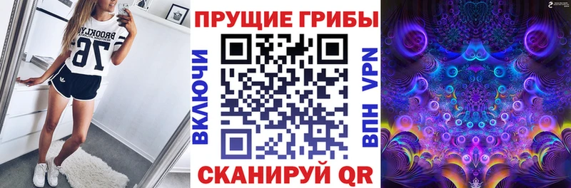 Псилоцибиновые грибы Cubensis  Берёзовка 